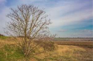 Canvey Heights Country Park