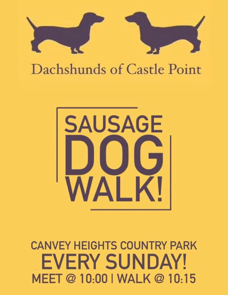 Dachshunds of Castle Point: Sausage Dog Walk