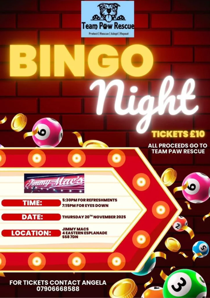 Team Paw Rescue Bingo Night
